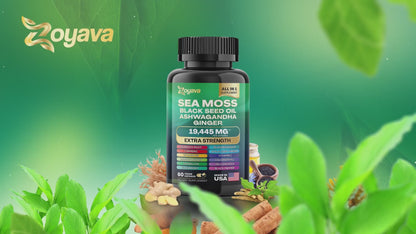 Vita™ Sea Moss 16-in-1 & a FREE Shilajit Vitality Bundle